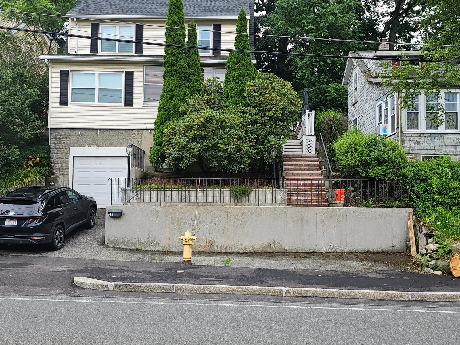 Overgrown front yard shrubs and trees after professional landscaping maintenance