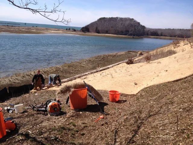 DURING: Coastal bank stabilization
