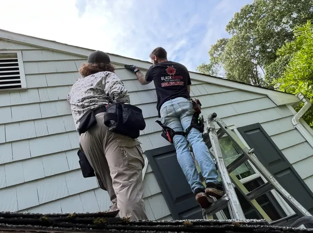 PEXT - The Wildlife & Pest Experts work photo