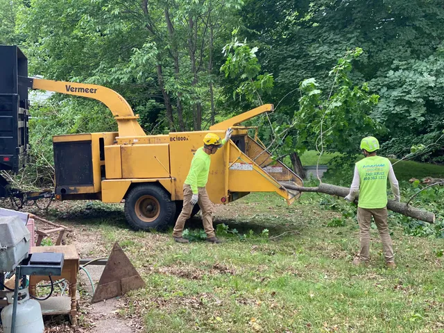 American Landscaping (Tree Service) work photo