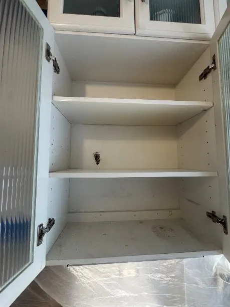 Fast Mold Testing - Boston