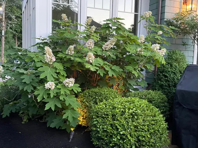 Fred's Landscaping & Irrigation