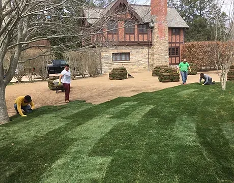 Portillo Landscaping LLC