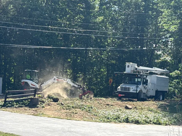 Husky Tree Service work photo