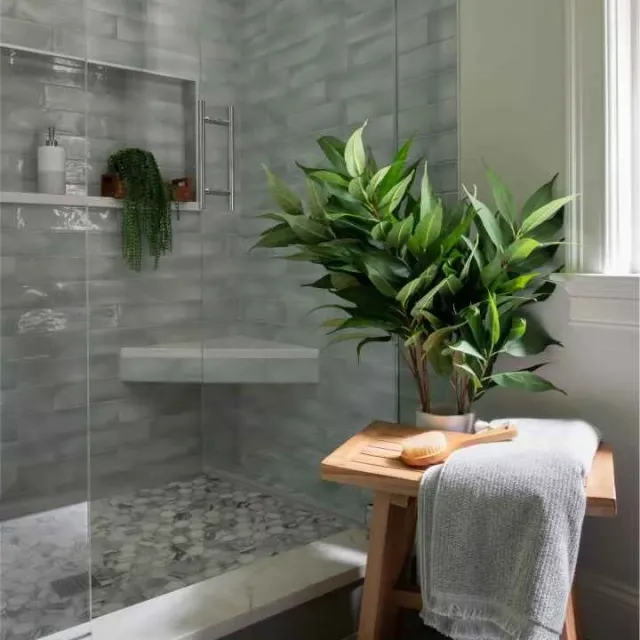 A stylish bathroom with a clear glass shower door and a lush potted plant in the corner.