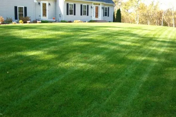 W.B. Roberts Landscape Construction Inc