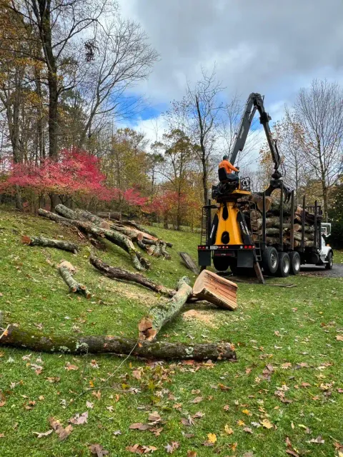 work photo from emltreeservices.com