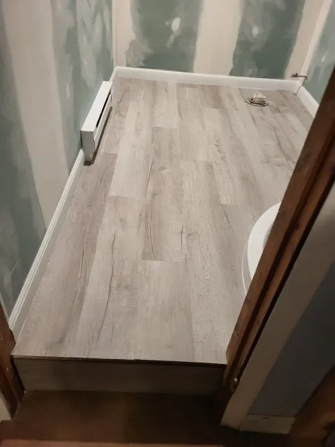 Partially finished bathroom with wood-look floor, green drywall, and a toilet opening on the right