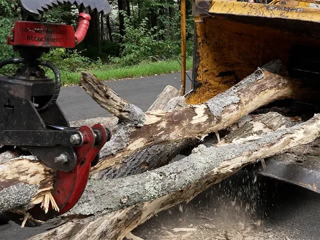 work photo from krohnkutztree.com