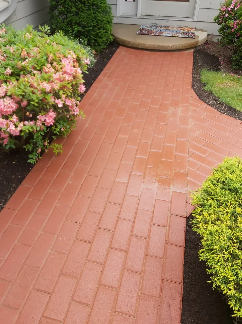 American Elm Landscape llc