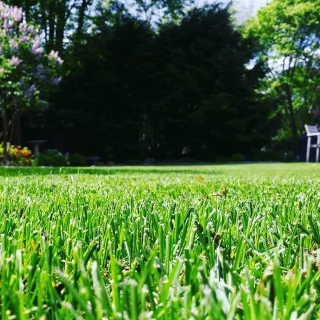 Sea of Green Lawn Care, LLC researched project photo