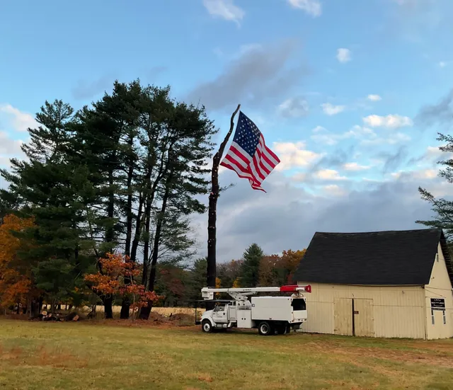 work photo from arbortechct.com