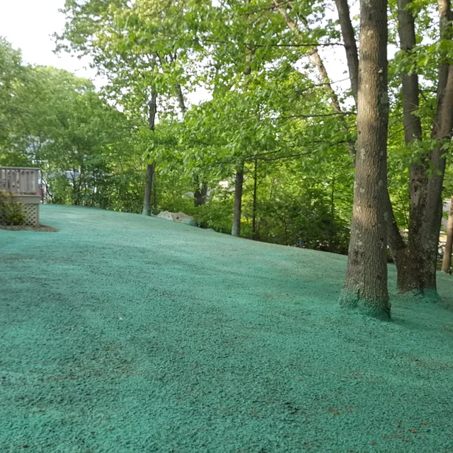 Lincoln Gardens Landscape Construction, LLC work photo