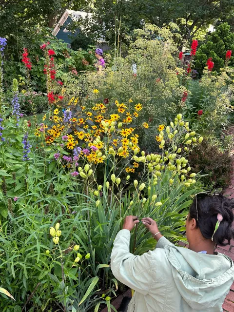 A young girl wearing a light-colored jacket is in a lush garden filled with yellow, purple, and red flowers, and green foliage. She appears to be examining or picking a plant, with a woman in a purple hat and purple shirt visible in the background near a blue house with white trim.