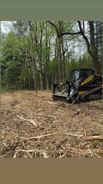 Connor Land Clearing work photo