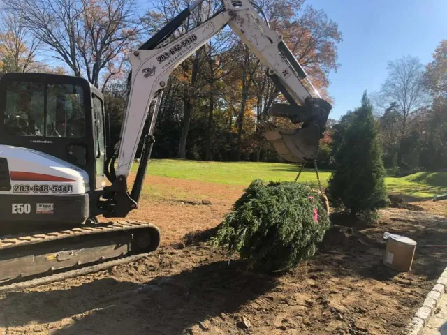 work photo from mjtreeservicesllc.com