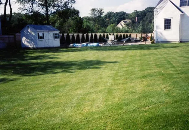 Landscaping