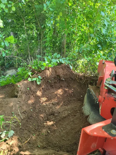 Grin & Grind Stump Removal work photo
