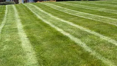 pgp-mowing