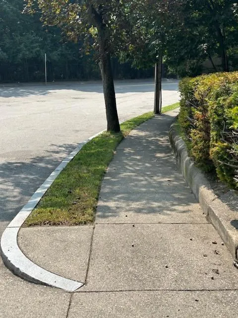 work photo from lawn-beyond-organic.com