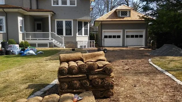 Landscape design