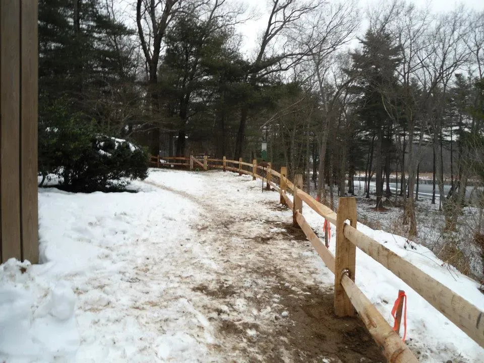 Wood fencing