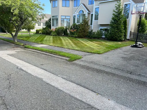 Review photo by Antonio’s landscaping