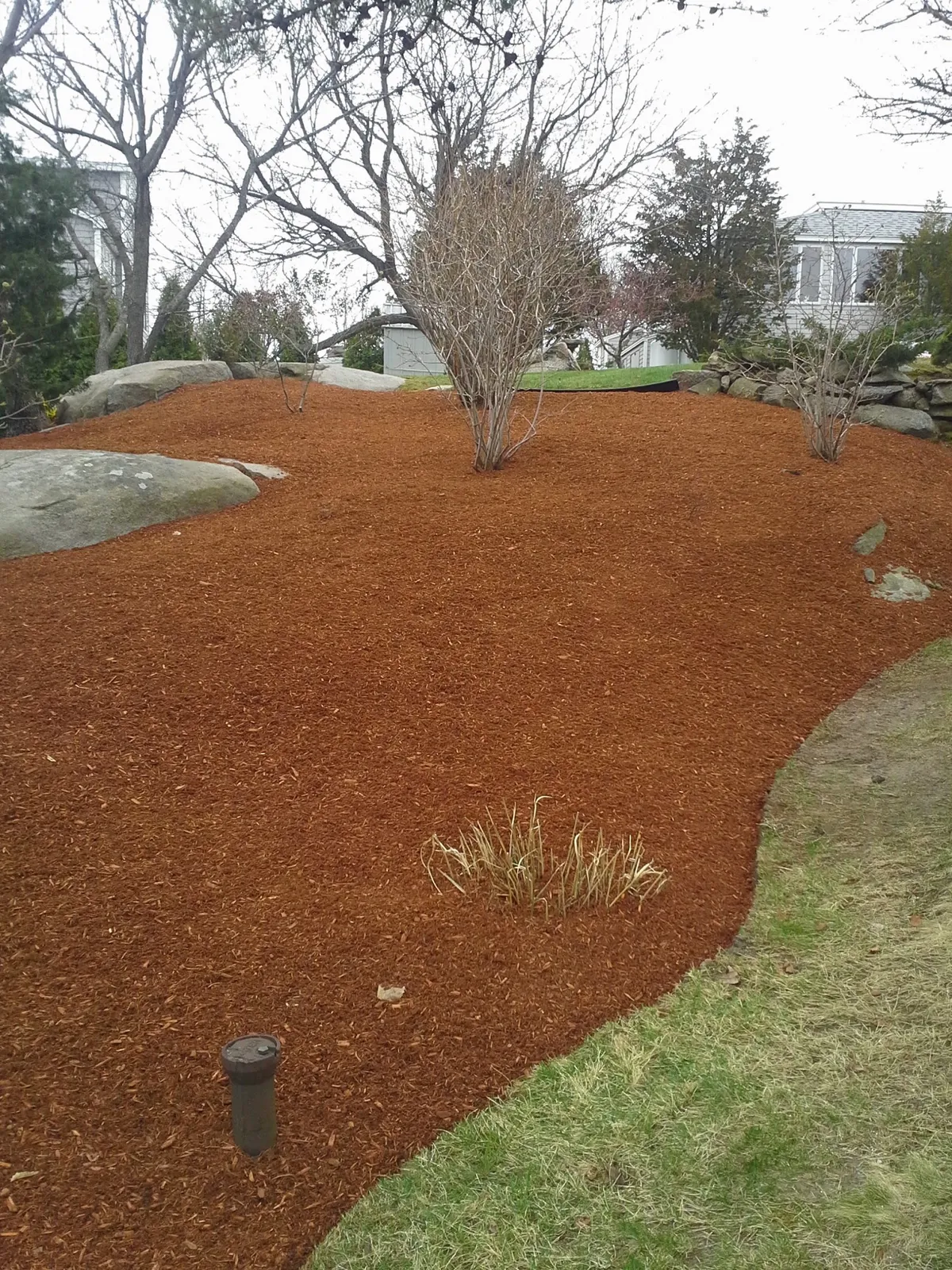 Antonio's landscaping & construction & tree service & carpentry & panting demolition and more