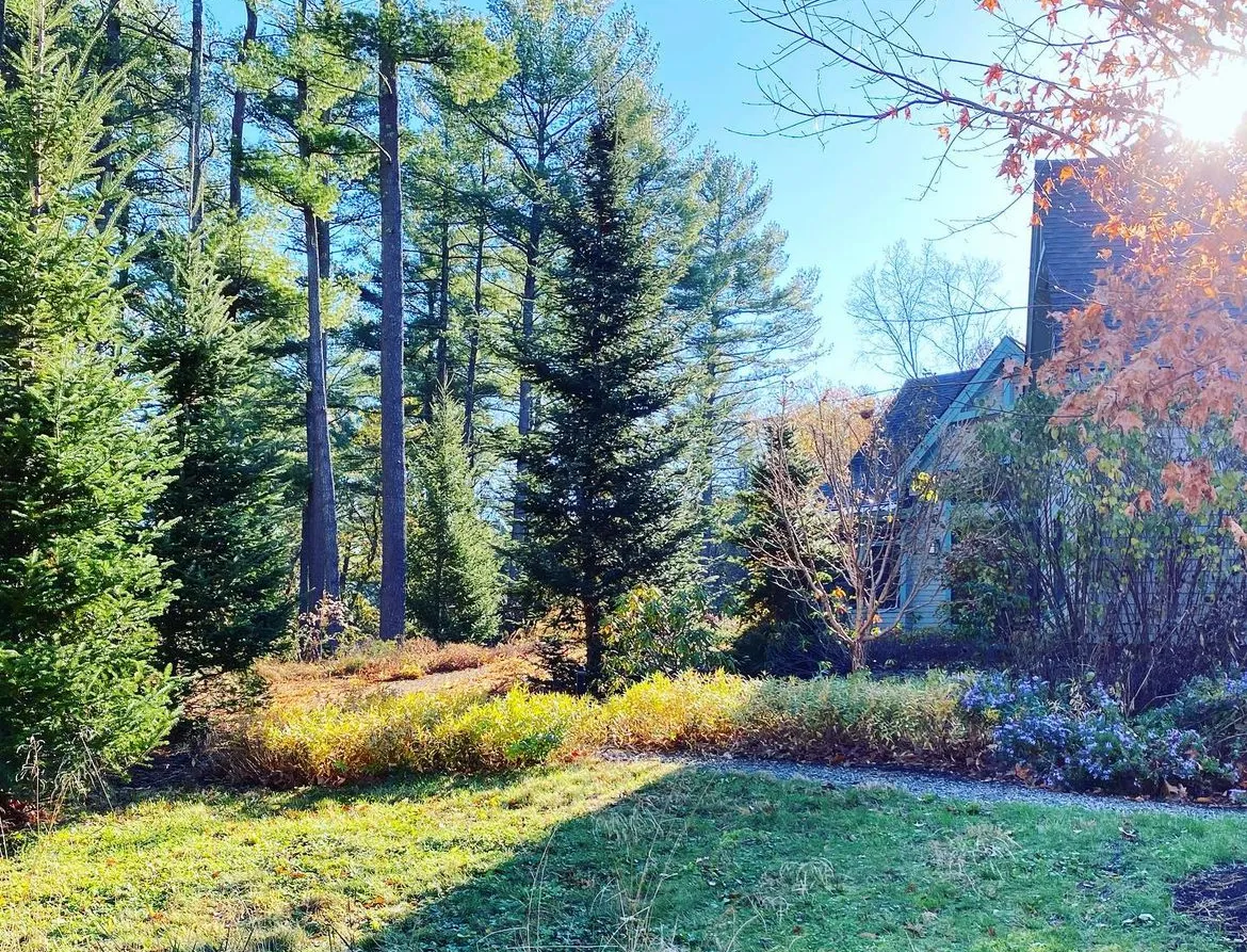 Merrifield Garden & Design