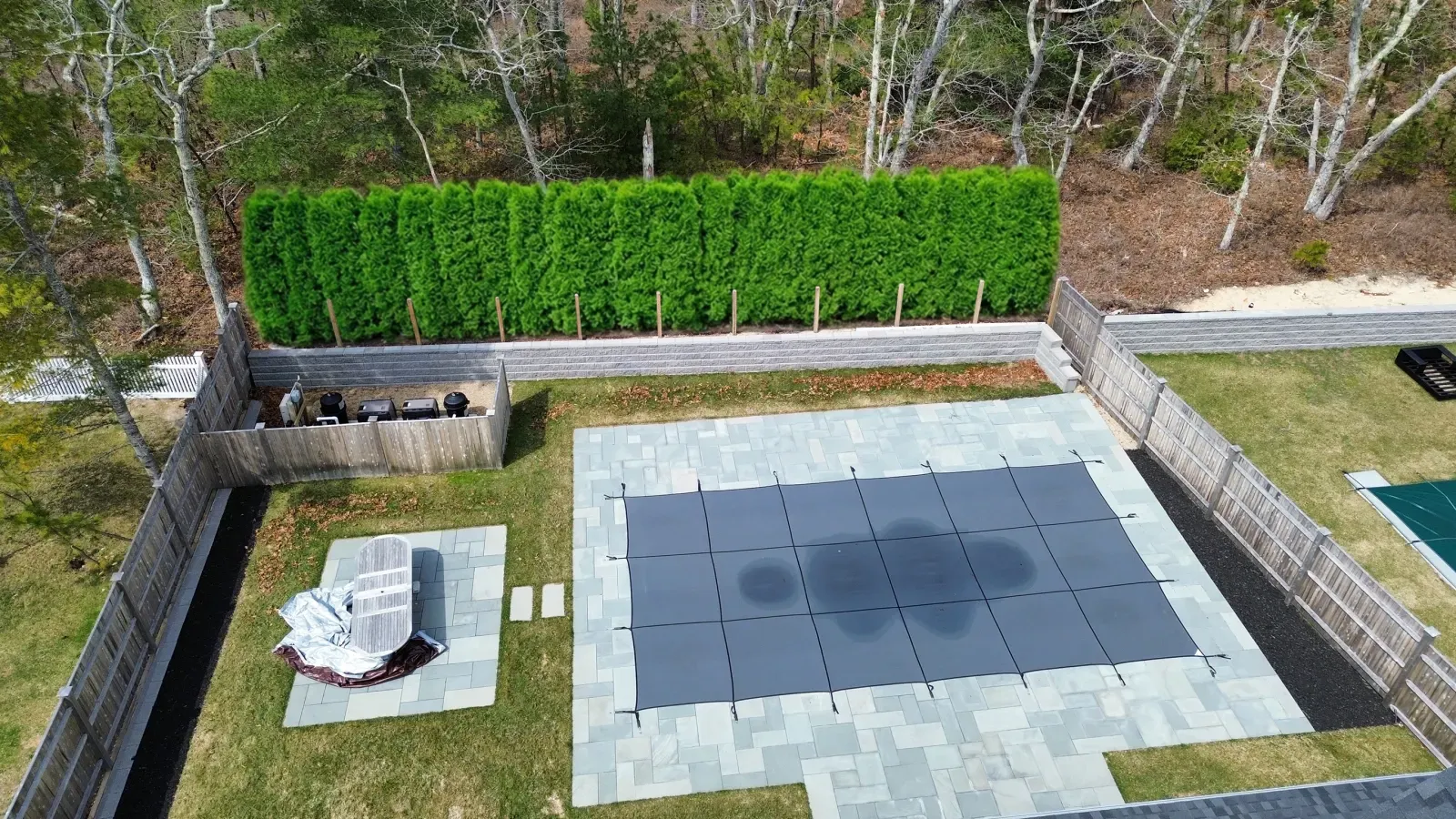 Arborvitae privacy screen at the property edge