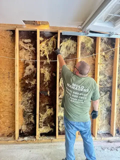 Mold Managers, Inc. work photo