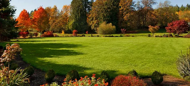 fall