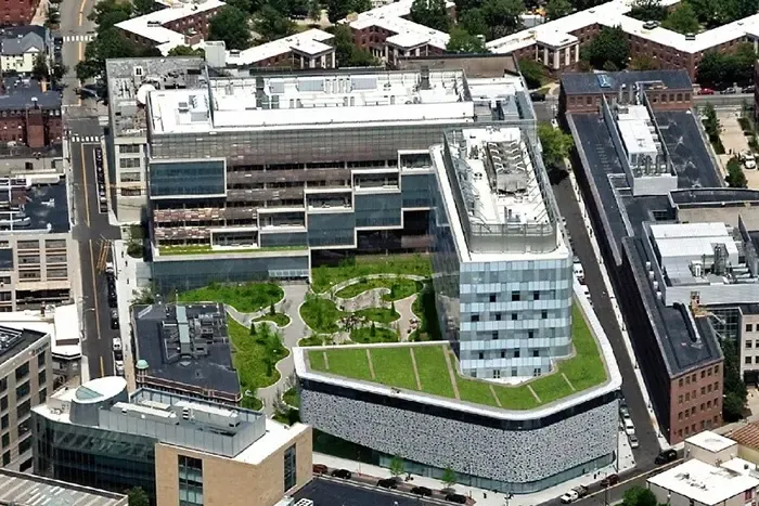 Apex Green Roofs researched project photo