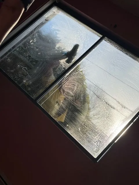 SQUEAKY CLEAN WINDOWS researched project photo