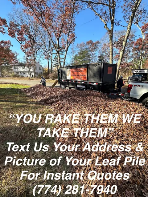 Expert Curbside Leaf Removal around Bridgewater, Ma Image