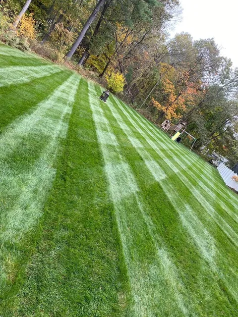 Best Views Landscaping