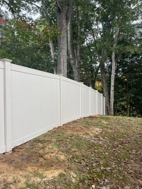 A white vinyl privacy fence with a smooth top edge runs along the bottom left. Behind the fence are tall trees with green leaves and textured trunks. The ground in front of the fence is a mix of dirt, grass, and fallen leaves.