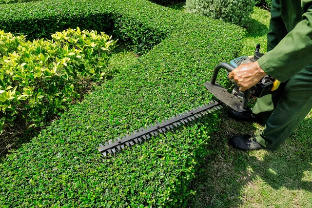 Farm Creek Landscaping work photo