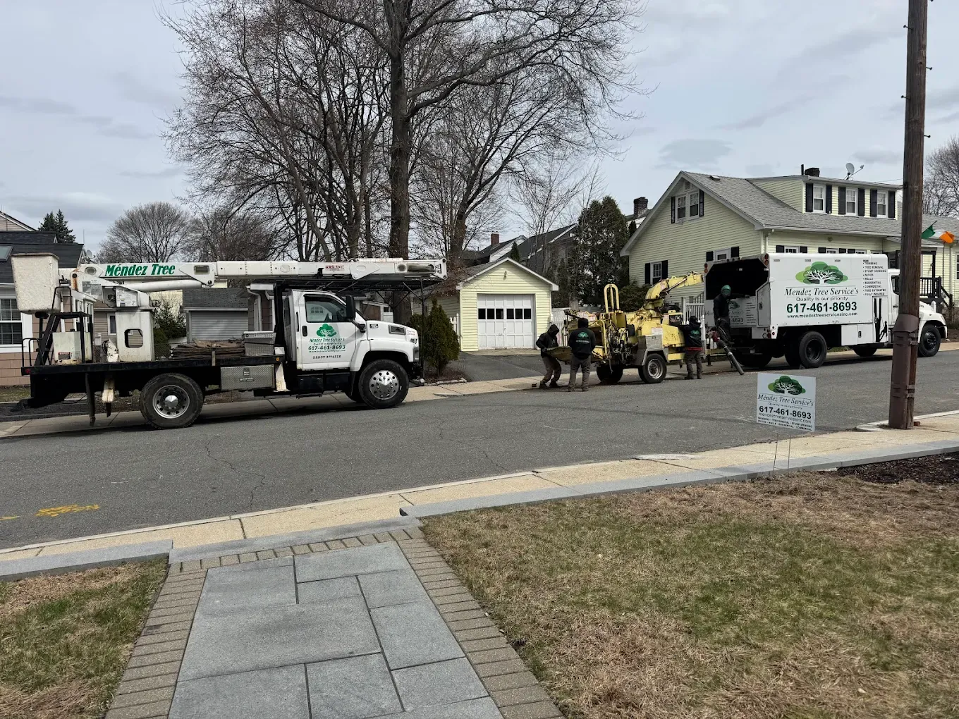 Mendez Tree Services work