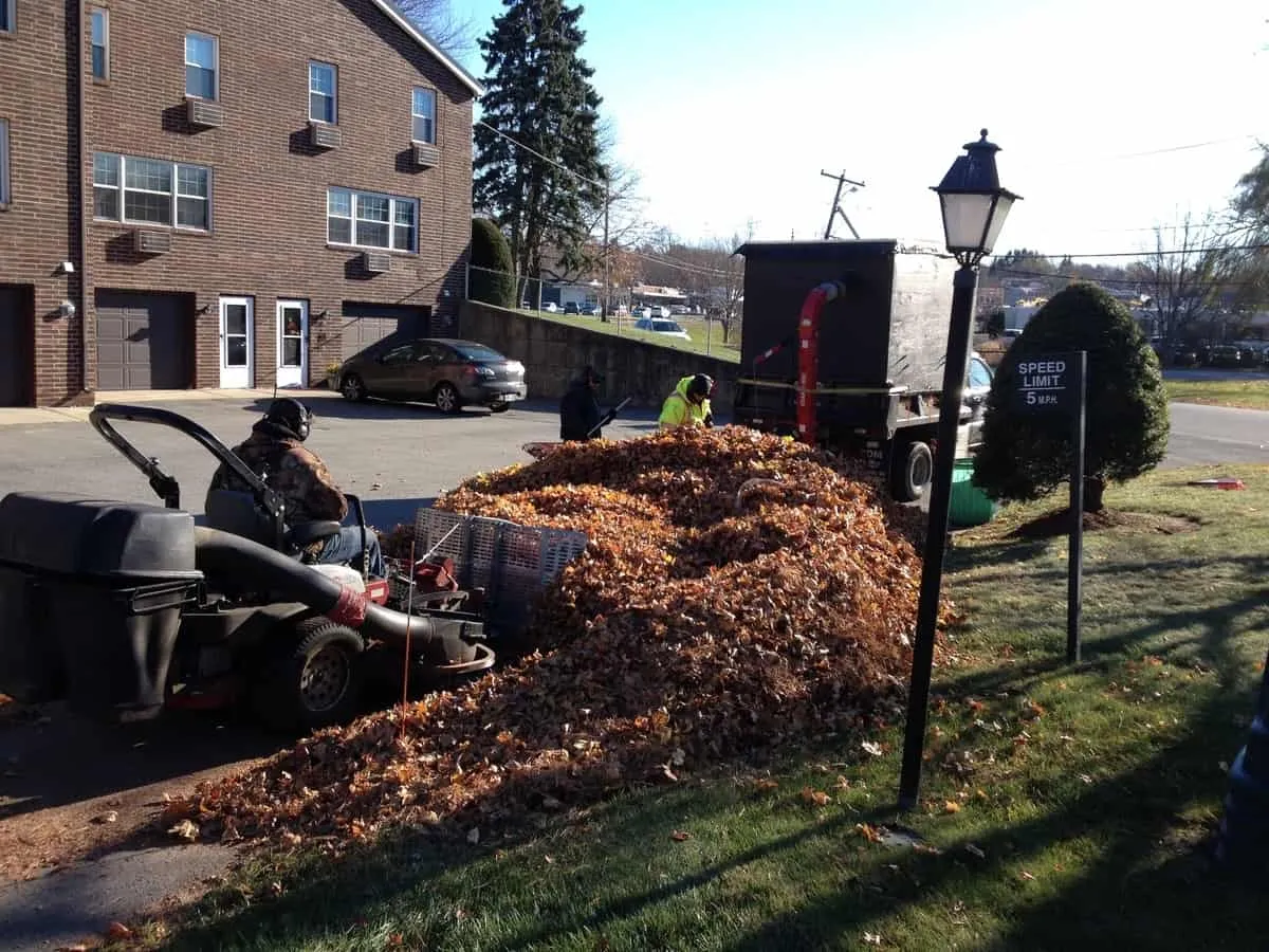 work photo from randalllandscaping.com