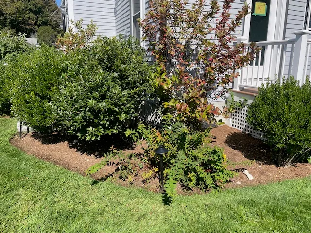 Blake Landscaping Co.
