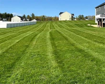 work photo from palandjianlandscaping.com