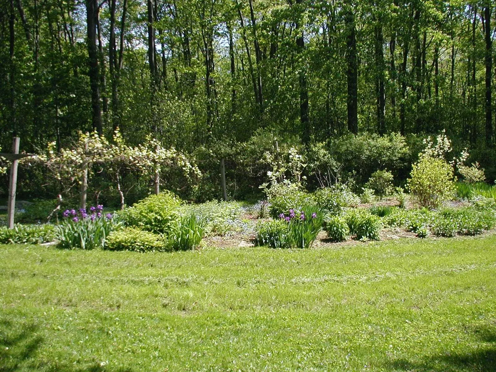 Pioneer Valley Organics Landscaping