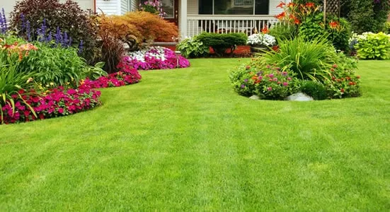 Elaborate landscape design