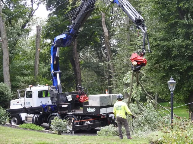 Paulo Landscaping & Tree Removal, LLC. work photo