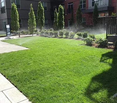 lawn with irrigation system