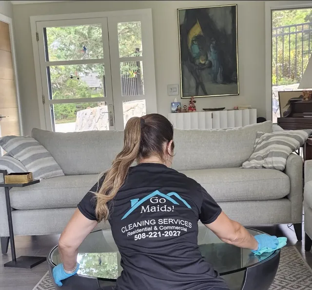 Go Maids Cleaning Sevices work photo