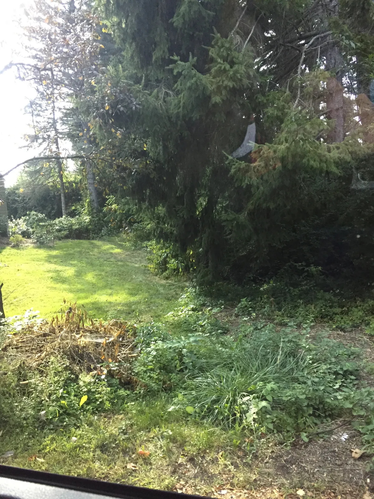 work photo from busybeelandscaping.co