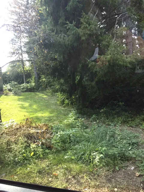 work photo from busybeelandscaping.co