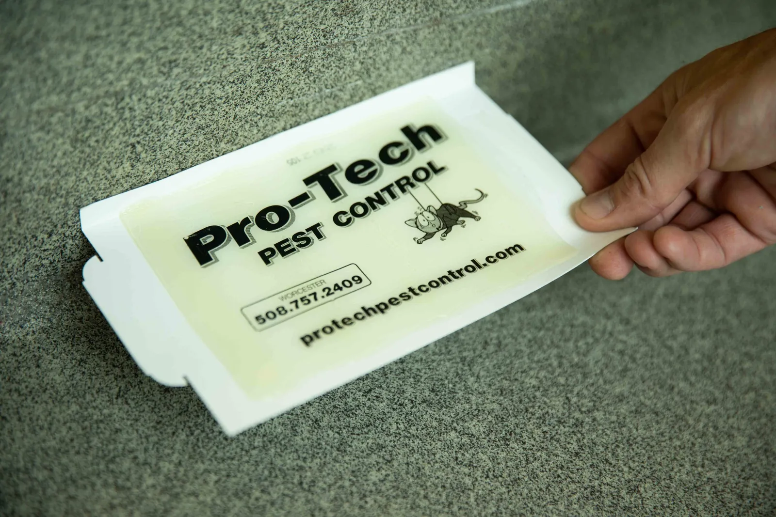 work photo from protechpestcontrol.com